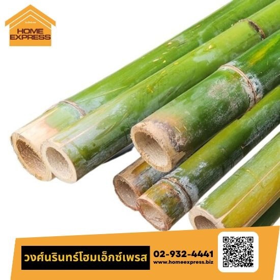 นั่งร้านไม้ไผ่